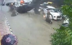 Cây xanh bất ngờ bật gốc, đè trúng hai cha con đi xe máy