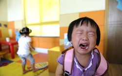 Con mới 2 tuổi, nhà tôi đã mở cuộc họp dài 3 tiếng để chọn trường mầm non: Công lập - tư thục và cả phe thứ 3