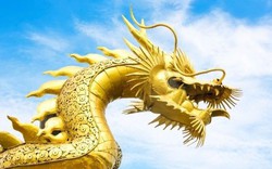 Từ đầu tháng 7 Âm lịch, có 4 con giáp chẳng cần lo vận đen, may mắn vượt bậc, tiền tài vận số đỏ rực