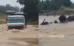Tài xế xe tải mất tích khi cố lái xe vượt qua dòng nước lũ