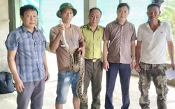 Trăn quý bò vào vườn nhà dân, cả làng hiếu kỳ rủ nhau đến xem