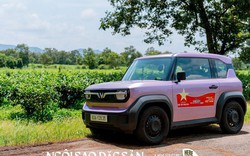 VF 3 – Xe quốc dân, lựa chọn thông minh cho người trẻ hiện đại