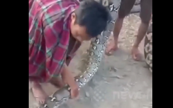Nhìn ra đường, dân làng bắt gặp cảnh tượng nổi da gà