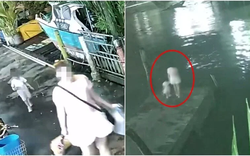 Mẹ dắt con gái ra cầu tàu rồi nhảy xuống biển, để lại di thư khiến ai cũng nghẹn ngào