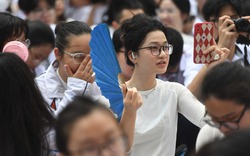 Ngôn ngữ Anh, Ngôn ngữ Trung, Ngôn ngữ Nhật và Ngôn ngữ Hàn, ngành nào dễ xin việc hơn?