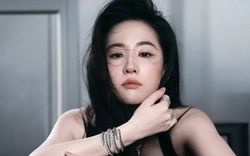 Một năm buồn của Lưu Diệc Phi