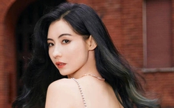 Trương Bá Chi còng lưng chạy show vì hết tiền?