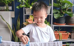 3 dấu hiệu XUNG QUANH NHÀ cho thấy con cái tương lai sẽ thành đạt - Hoàn toàn không phải mê tín