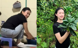 Doãn Hải My về quê Văn Hậu, cũng nấu nướng, rửa bát như bao nàng dâu khác sao lại hút tới 1,2 triệu views?