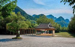 Starbucks Việt Nam lại khiến dân tình xuýt xoa với chi nhánh mới, lần này nằm giữa núi non: "Nhật Bản cũng chỉ đến thế”!
