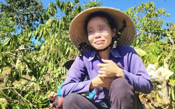 Diễn biến bất ngờ vụ anh rể phá vườn cây "đòi quan hệ với em vợ"