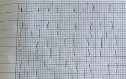 Vào năm học chưa đầy 1 tháng, "khối lớp 1" đã khiến phụ huynh tăng xông, giáo viên khóc ròng: Vạn vật thua các em hết!