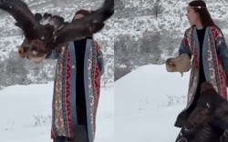 Chú chim đầu tiên được lên hot search xứ Trung vì thái độ cực gắt với du khách