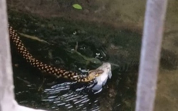 Nhìn ra sân, người dân sốc nặng khi chứng kiến cảnh tượng trước mắt