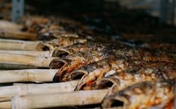 'Kho báu' dưới nước giúp Việt Nam thành ông trùm số 1 thế giới: chất lượng vừa rẻ vừa ngon, chỉ Việt Nam tạo nên ngành công nghiệp tỷ đô