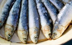 Loại cá dễ gây ung thư bậc nhất, nhiều người không biết vẫn ăn hàng ngày