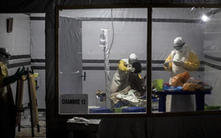 15 người chết ở Congo vì 1 trong những căn bệnh chết người nhất thế giới, WHO cảnh báo