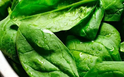 Mỹ đánh giá "rau tốt nhất thế giới", hóa ra là rau quen thuộc mọc bờ rào ở Việt Nam