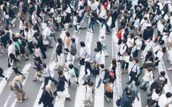 Nhà khoa học nữ đoạt giải Nobel Kinh tế nói thẳng: Tỷ lệ sinh toàn cầu lao dốc, phụ nữ không sai, đàn ông mới là gốc rễ vấn đề