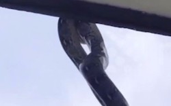 Nhìn ra cửa sổ, học sinh la hét khi thấy cảnh tượng đáng sợ