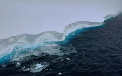 Tảng băng lớn nhất thế giới sắp biến mất