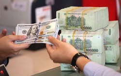 Chính thức từ hôm nay 1/1/2026: Hàng loạt luật mới có hiệu lực, “chạm” trực tiếp tới túi tiền và quyền lợi người lao động