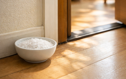 Đầu năm 2026: Đặt đúng 3 món này ở cửa chính, tiền vào như nước - bỏ qua là mất lộc