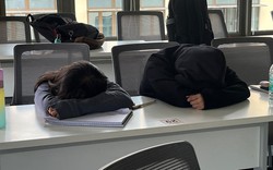 Gần 50% học sinh trung học ở quốc gia này ngủ chưa đủ 6 tiếng mỗi ngày