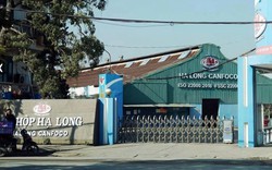 Công ty đồ hộp Hạ Long hoạt động thế nào, ai đang quản lý?