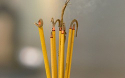 3 thời điểm không nên thắp hương, thầy phong thủy giải thích cặn kẽ