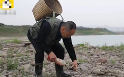 Ra suối nhặt “đồ bỏ đi”, dân làng thu về hơn 72 tỷ đồng mỗi năm