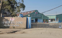 Vì sao Tổng giám đốc Công ty Cổ phần Đồ hộp Hạ Long bị bắt?