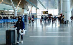 Xin sếp làm online sau Tết để né tiền vé máy bay cao