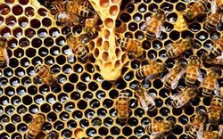 Thoát "cửa tử" sau khi bị đốt cháy 40 phút