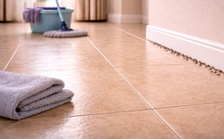 Mẹ tôi bảo: Đừng lau sàn kiểu này - tưởng sạch nhưng lại gọi kiến vào nhà mỗi ngày