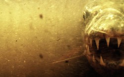 Loài cá nước ngọt là sát thủ khiến “chúa tể đầm lầy” cũng sợ bị xơi tái, chỉ cần thoáng thấy đã né từ xa