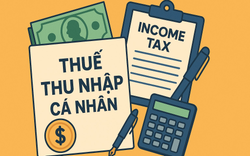 Trong năm nay, sẽ có thêm các thu nhập mới phải chịu thuế TNCN, người lao động lưu ý!