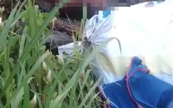 TPHCM: Tìm người thân của thi thể được phát hiện gần trạm thu phí cầu Phú Mỹ