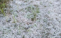 Nhiều địa phương dưới 10 độ C, đề phòng băng giá