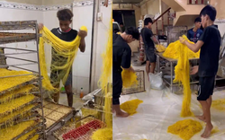 Rùng mình cơ sở làm mì sợi bằng hóa chất suốt 10 năm ở TP.HCM: Hơn 800 tấn "hàng độc" đã tuồn ra thị trường