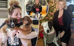 Chán ngấy hẹn hò online, nhiều phụ nữ 'thà dắt chó đi dạo còn hơn yêu đương'