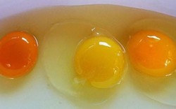 Đập trứng gà ra bát thấy lòng đỏ đậm và nhạt khác nhau, loại nào nhiều chất hơn?