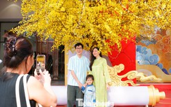 Phố phường TPHCM rộn ràng sắc xuân từ rất sớm