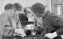 Đừng chủ quan với u xơ tử cung