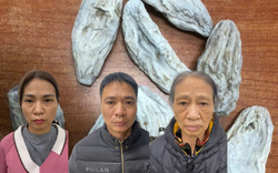 Đồng loạt khám xét tại Thái Nguyên và Bắc Ninh, bắt khẩn cấp Nguyễn Thị Nguyệt SN 1984 và 2 người khác