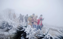 Miền Bắc sắp đón không khí lạnh cực mạnh, bỏ túi ngay 3 "thần dược" tốt cho sức khỏe ngày gió mùa