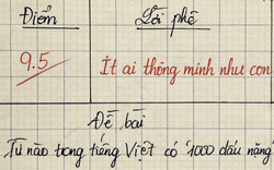Từ tiếng Việt nào có 1000 dấu nặng? - 99,99% người đã trời lời sai!