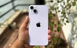 Chiếc iPhone cũ đáng mua nhất hiện nay