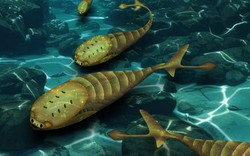 Một điều khủng khiếp đã giúp loài cá đột ngột có mặt trên Trái Đất