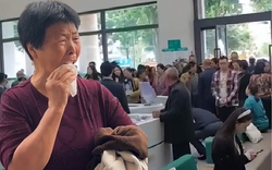 Hơn 100 người gửi 377 tỷ đồng vào ngân hàng với cam kết lãi suất cao, đến nhận tiền thì nhân viên thông báo: 0 có đồng nào